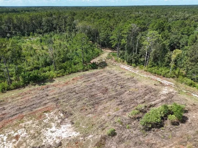 $195,000 | Tbd Green Oak Cemetery Road, Kinder, LA 70648