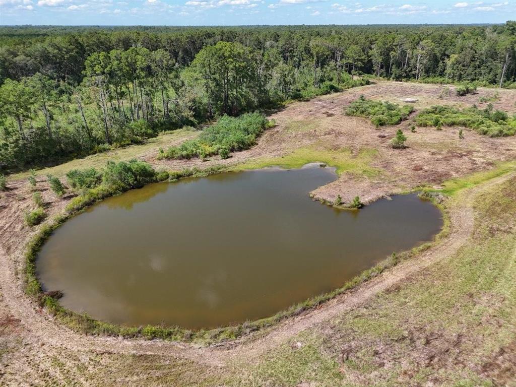 Tbd Green Oak Cemetery Road Kinder, LA 70648 - Photo 14 of 20