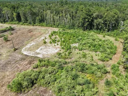 $195,000 | Tbd Green Oak Cemetery Road, Kinder, LA 70648