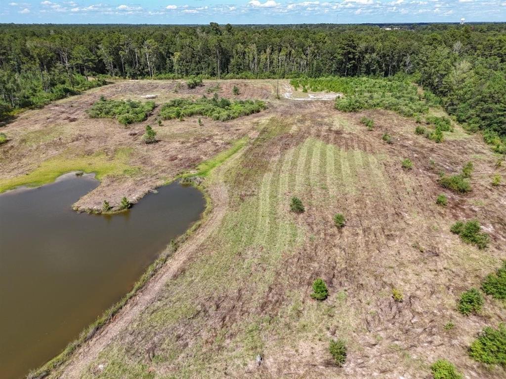 Tbd Green Oak Cemetery Road Kinder, LA 70648 - Photo 18 of 20
