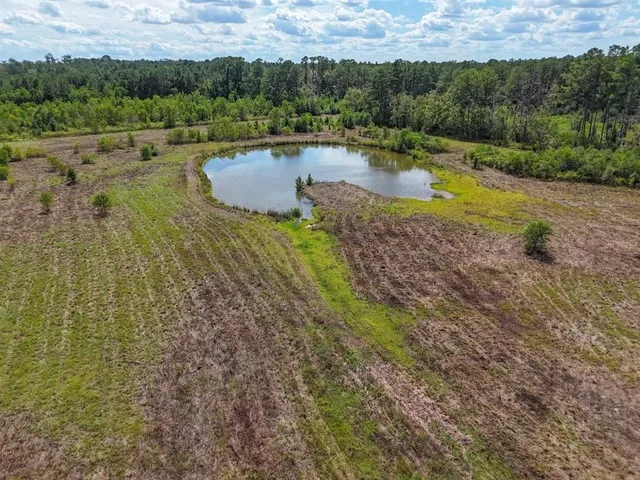 $175,000 | Tbd Green Oak Cemetery Road, Kinder, LA 70648