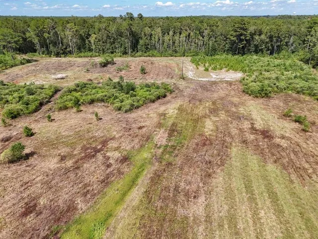 $195,000 | Tbd Green Oak Cemetery Road, Kinder, LA 70648