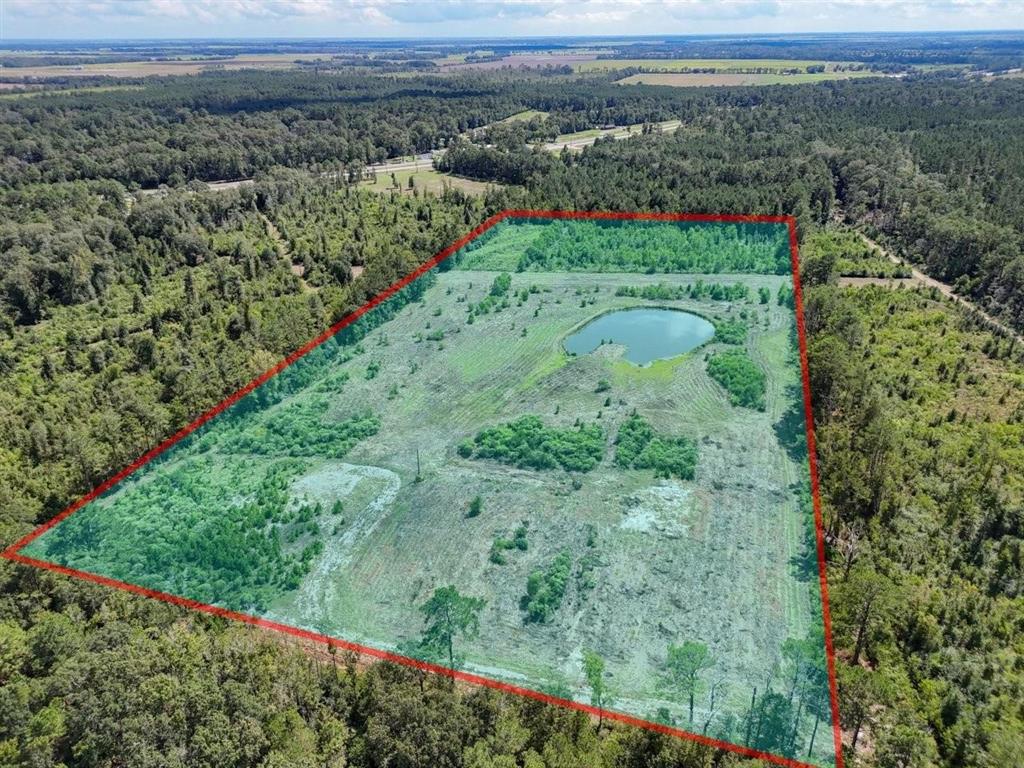 Tbd Green Oak Cemetery Road Kinder, LA 70648 - Photo 2 of 20