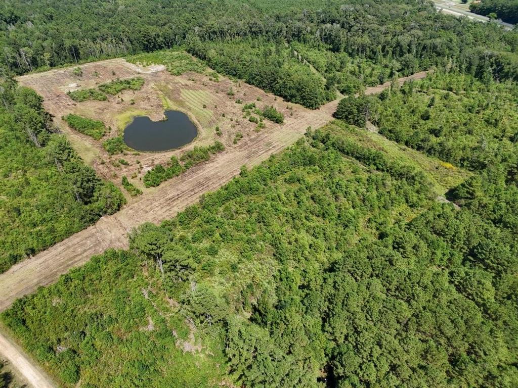 Tbd Green Oak Cemetery Road Kinder, LA 70648 - Photo 3 of 20