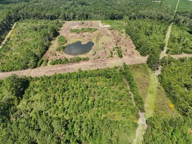 $195,000 | Tbd Green Oak Cemetery Road, Kinder, LA 70648