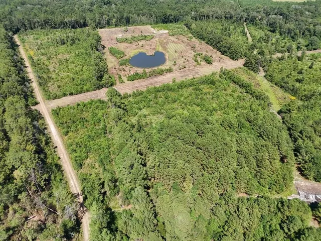 $195,000 | Tbd Green Oak Cemetery Road, Kinder, LA 70648