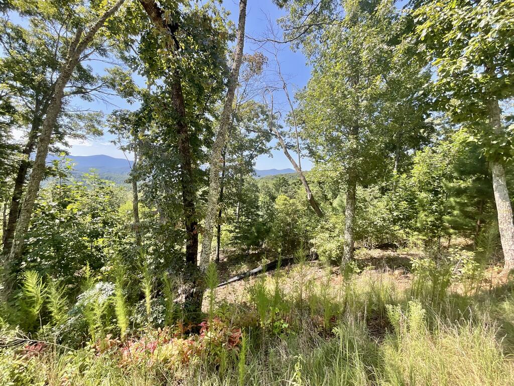Lot 129 Winding Ridge Blairsville, GA 30512 - Photo 2 of 13 Gallery Image 2