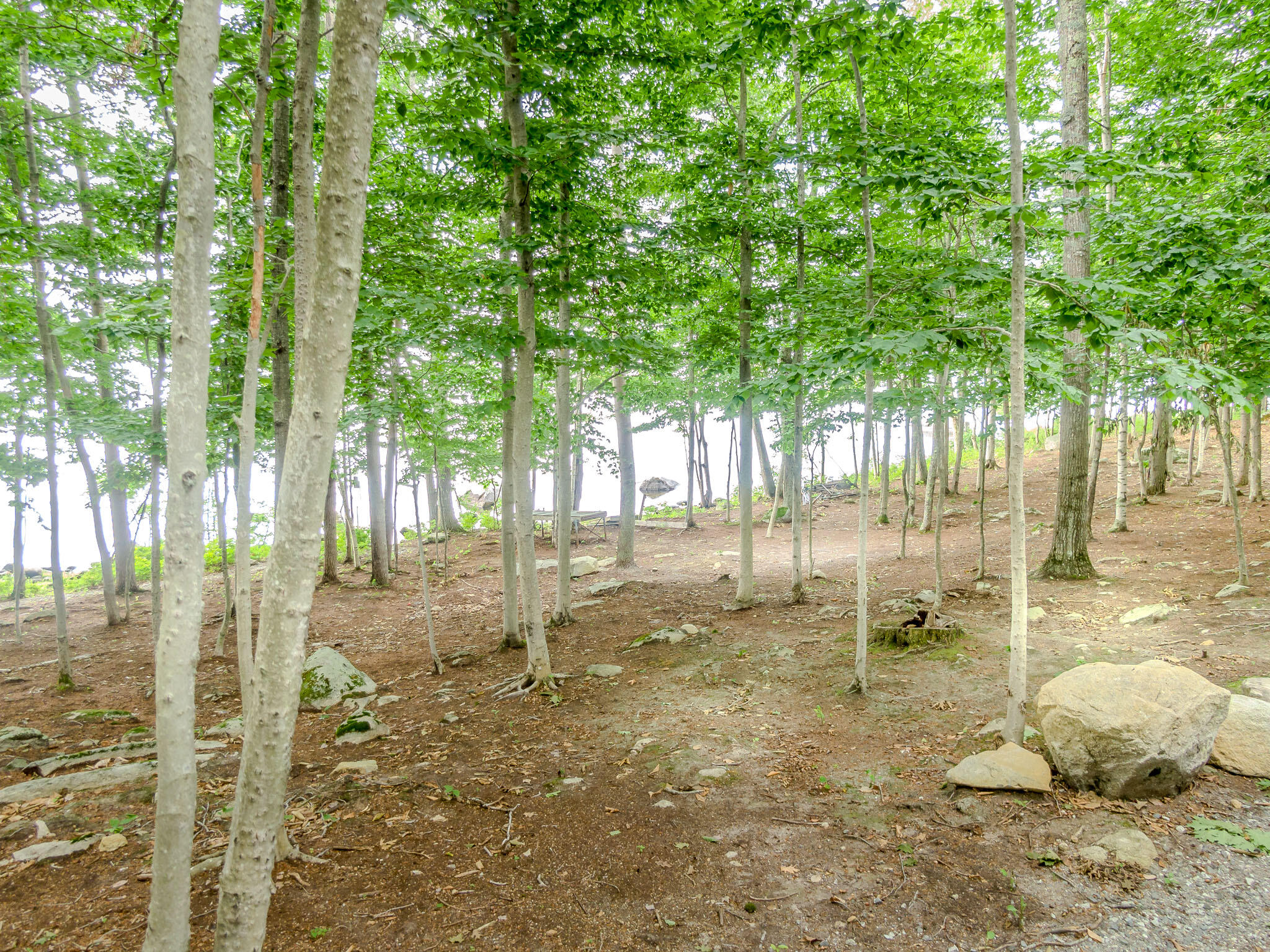 25 Emerald Point Drive Frye Island, ME 04084 - Photo 6 of 9 Martin-2407-0822