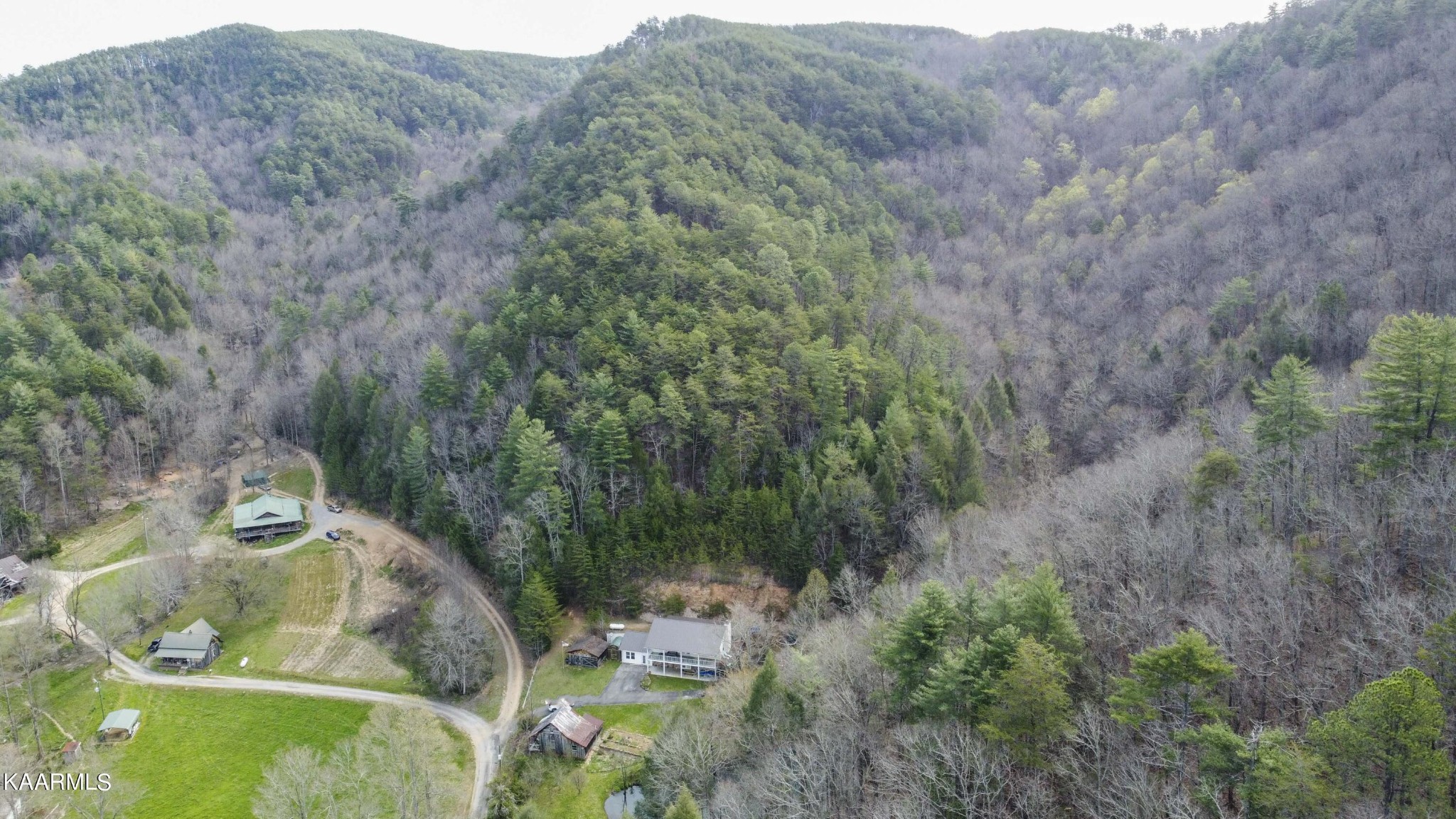 180 Williamsburg Road Vonore, TN 37885 - Photo 11 of 54 Gallery Image 11