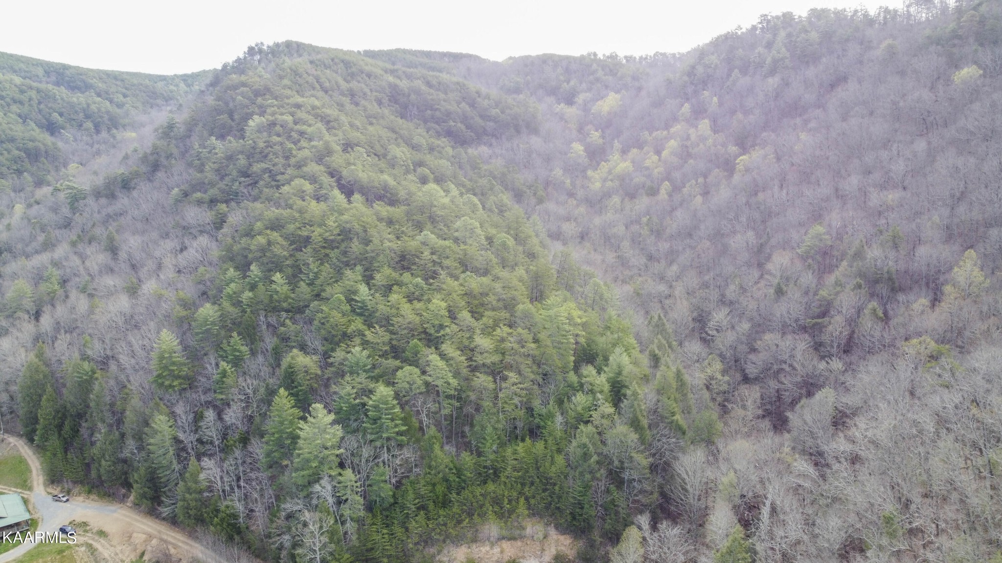 180 Williamsburg Road Vonore, TN 37885 - Photo 13 of 54 Gallery Image 13