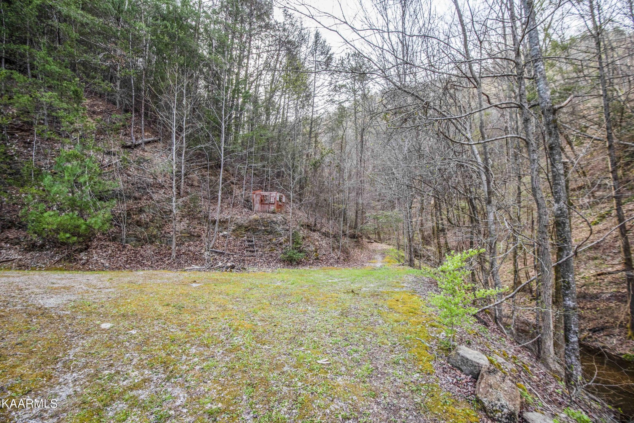 180 Williamsburg Road Vonore, TN 37885 - Photo 52 of 54 Gallery Image 52