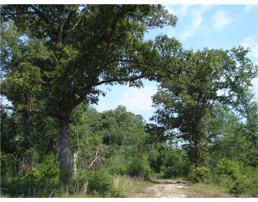 North Ridge Road Perkinston, MS 39573 - Photo 1 of 4 Primary Photo