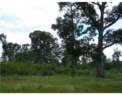 North Ridge Road Perkinston, MS 39573 - Photo 2 of 4 Additional Photo
