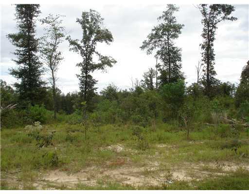 North Ridge Road Perkinston, MS 39573 - Photo 3 of 4 Additional Photo