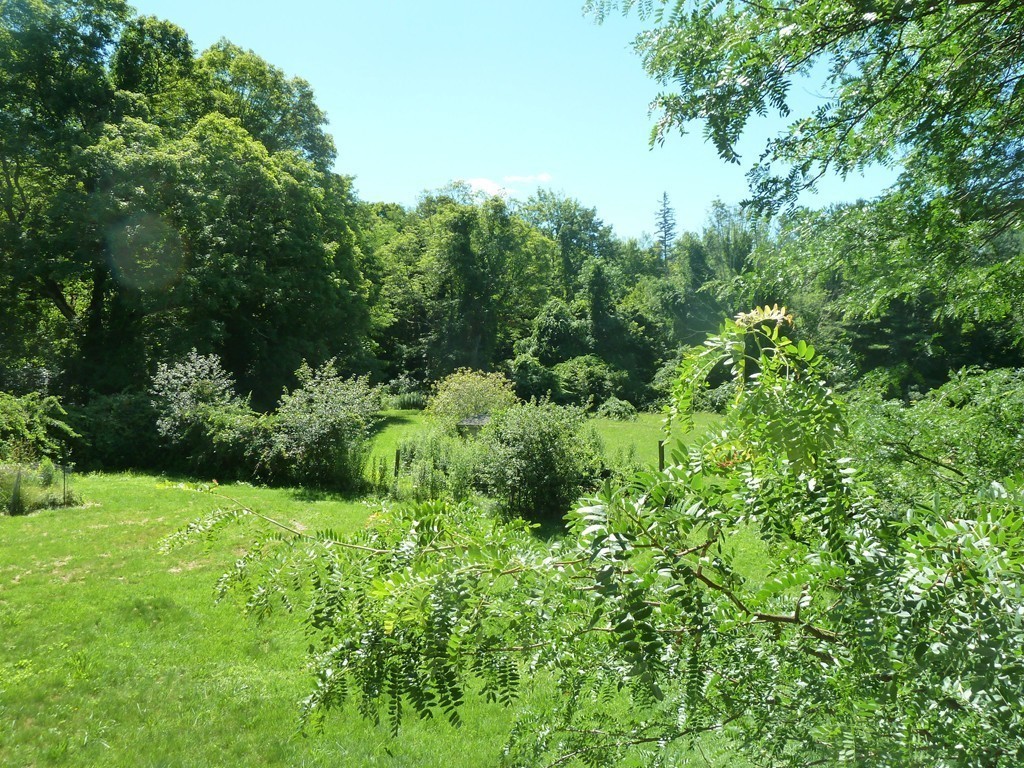 105-107 North Valley Road Pelham, MA 01002 - Photo 3 of 27 a view of a garden with a tree