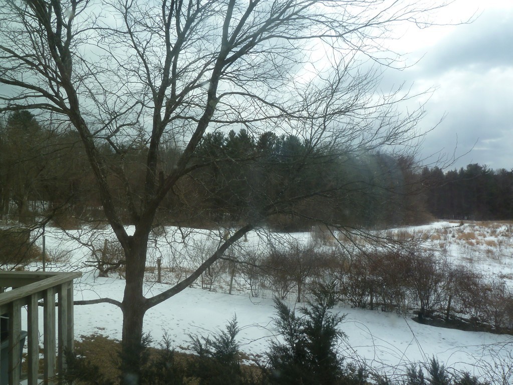 105-107 North Valley Road Pelham, MA 01002 - Photo 7 of 27 a view of swimming pool of water with green space