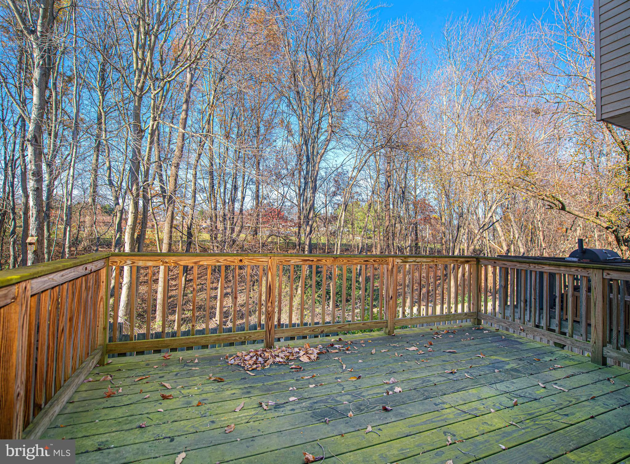 2916 Carlyle Court Abingdon, MD 21009 - Photo 25 of 30 Deck - view to rear