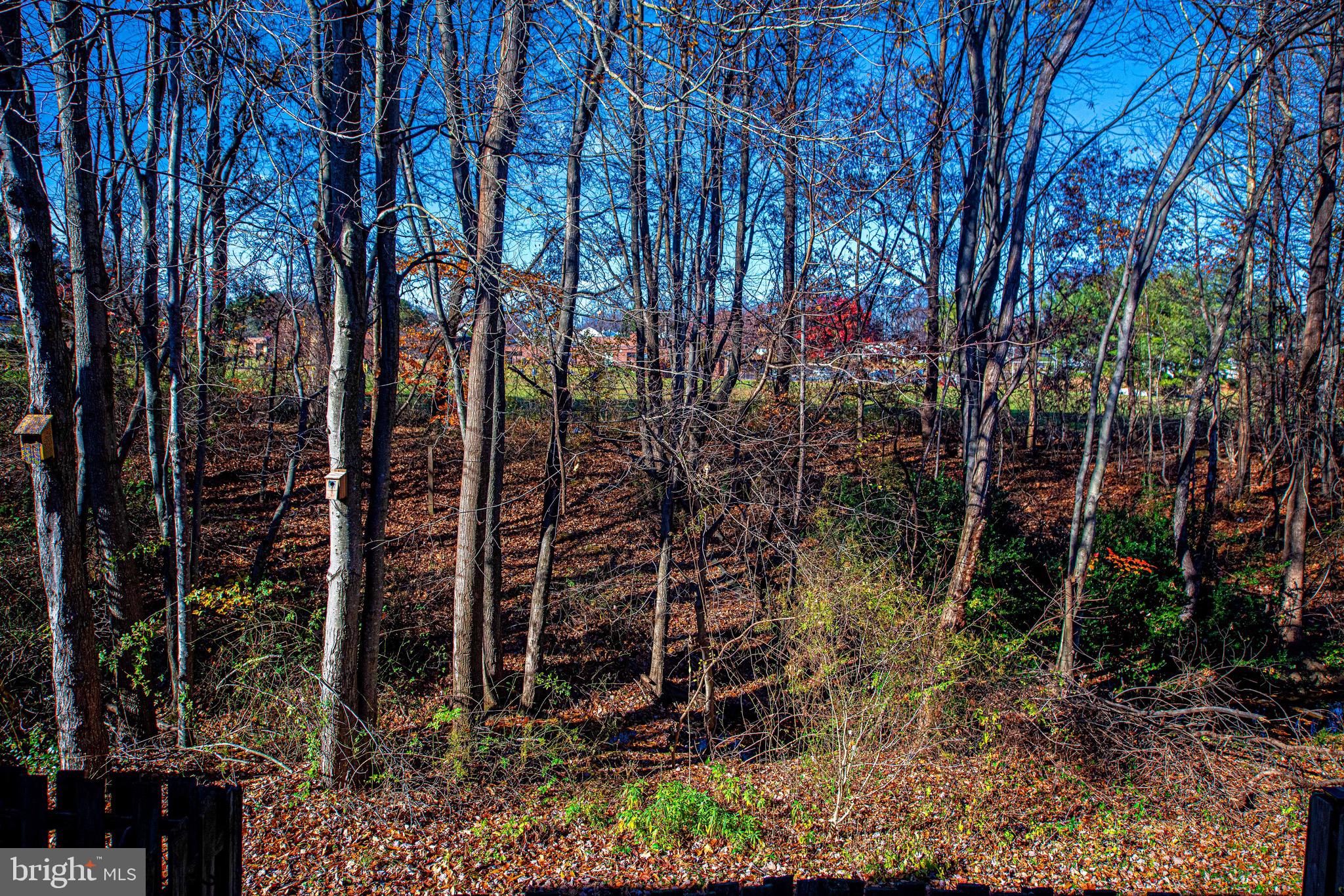 2916 Carlyle Court Abingdon, MD 21009 - Photo 28 of 30 Backs to wood