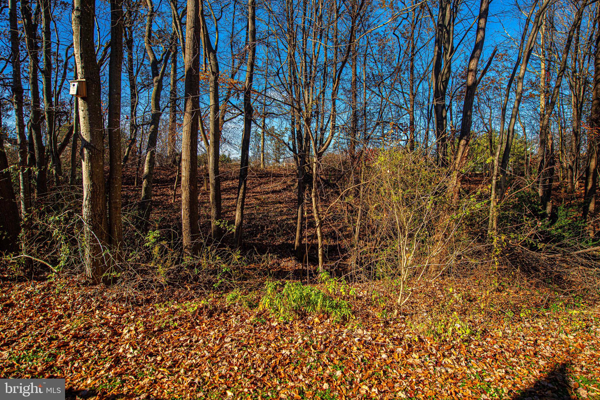 2916 Carlyle Court Abingdon, MD 21009 - Photo 29 of 30