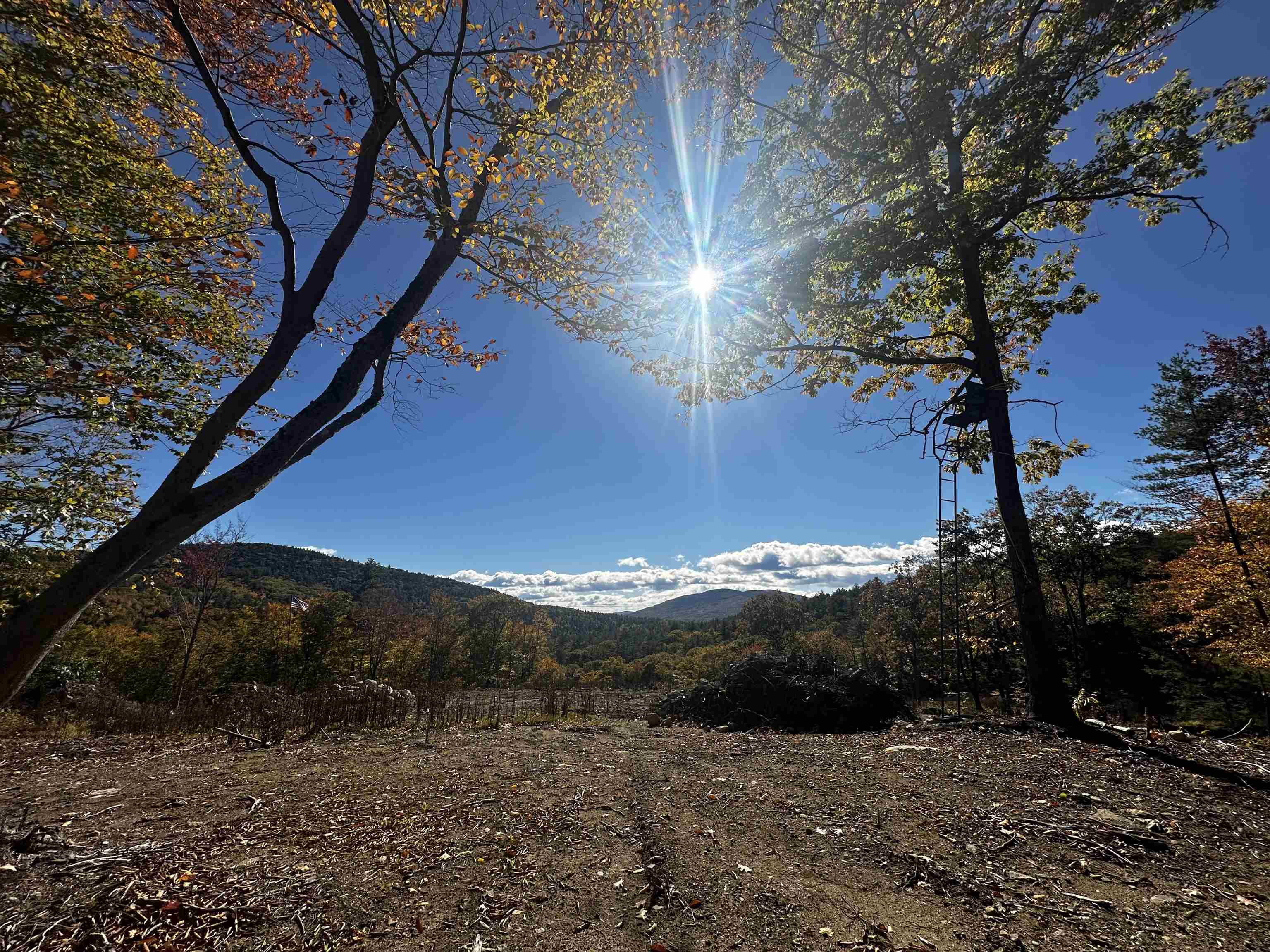 Lot 26-2 Scarboro Road Freedom, NH 03836 - Photo 2 of 18