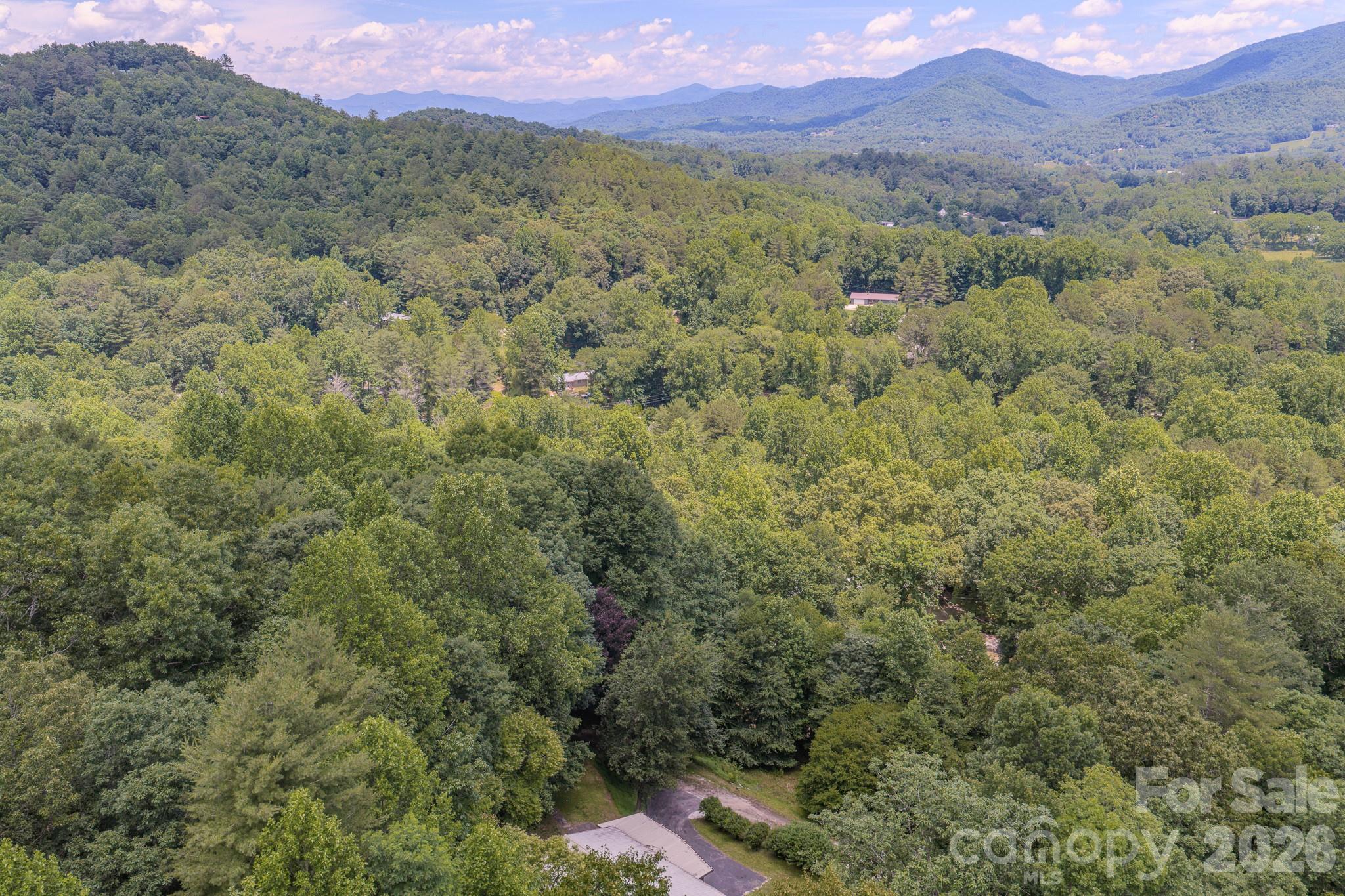 35 Coweeta Ridge Otto, NC 28763 - Photo 6 of 48