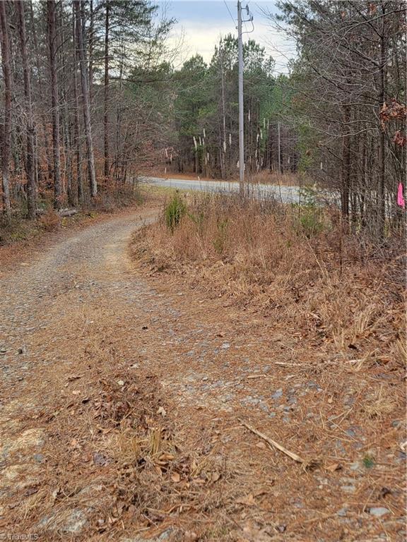 1788 Bowen Road Pinnacle, NC 27043 - Photo 2 of 9