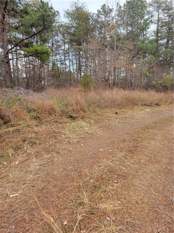 1788 Bowen Road Pinnacle, NC 27043 - Photo 3 of 9