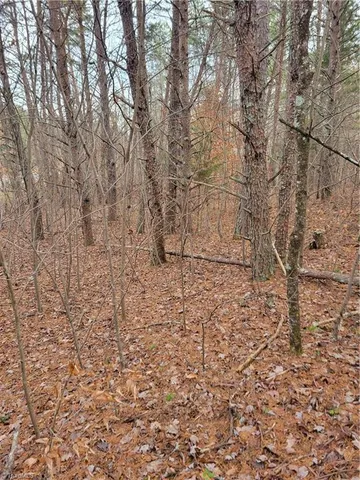 $84,000 | 1788 Bowen Road, Pinnacle, NC 27043