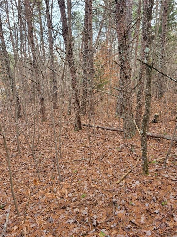 1788 Bowen Road Pinnacle, NC 27043 - Photo 5 of 9