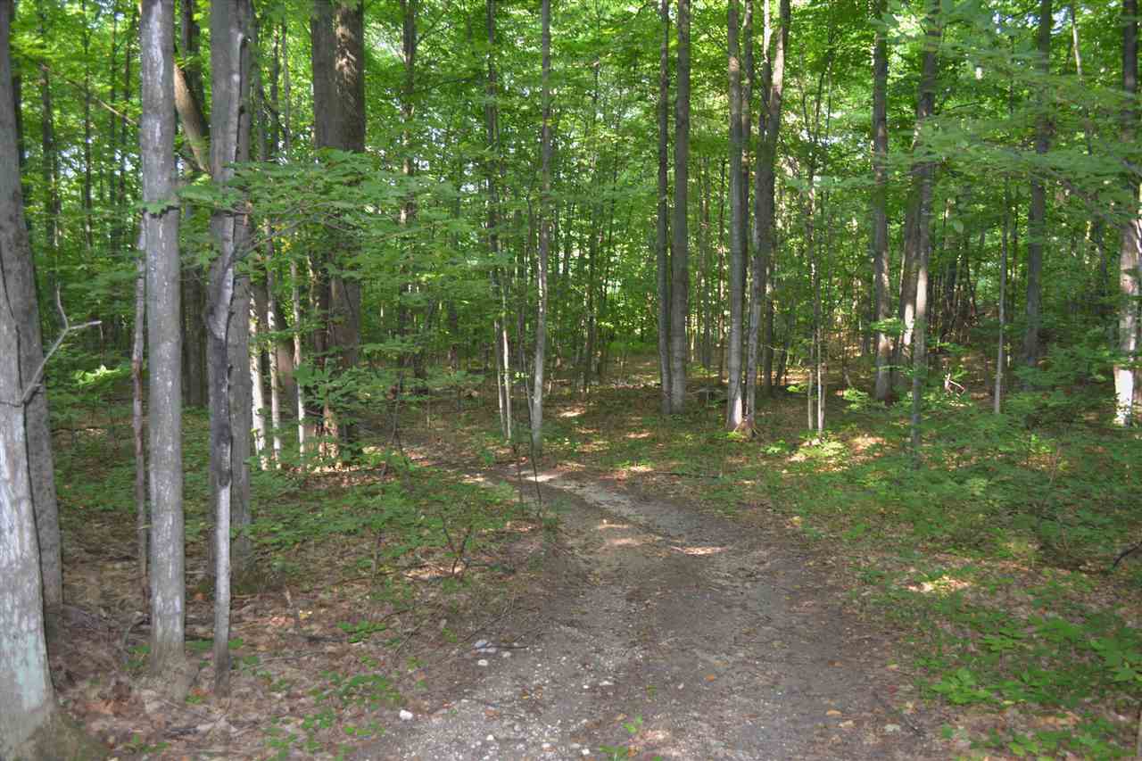 9776 North Reynolds Road Traverse City, MI 49684 - Photo 24 of 25 1879079-23.JPG