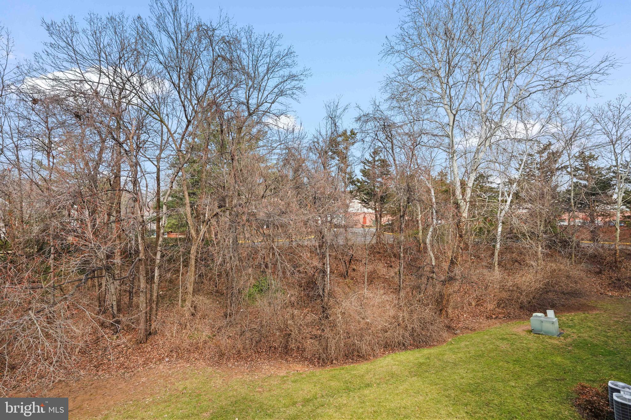 11731 Summerchase Circle, Unit 1731E Reston, VA 20194 - Photo 24 of 30 a backyard of a house