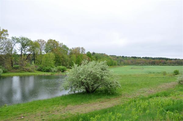 7 South Meadow Ridge, Unit 7 Concord, MA 01742 - Photo 15 of 16 Gallery Image 15