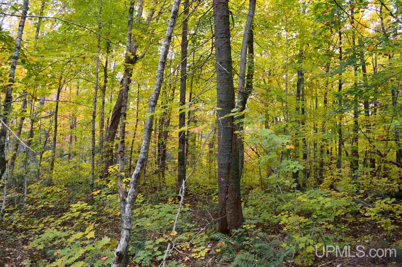 Tbd Peshekee Grade Road Skanee, MI 49962 - Photo 19 of 35