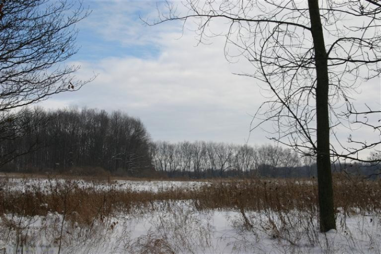 Kane Road Plainwell, MI 49080 - Photo 2 of 6 Additional Photo