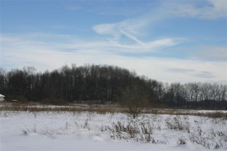 Kane Road Plainwell, MI 49080 - Photo 4 of 6 Additional Photo