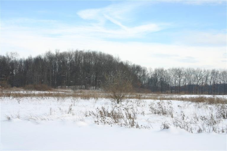 Kane Road Plainwell, MI 49080 - Photo 6 of 6 Additional Photo