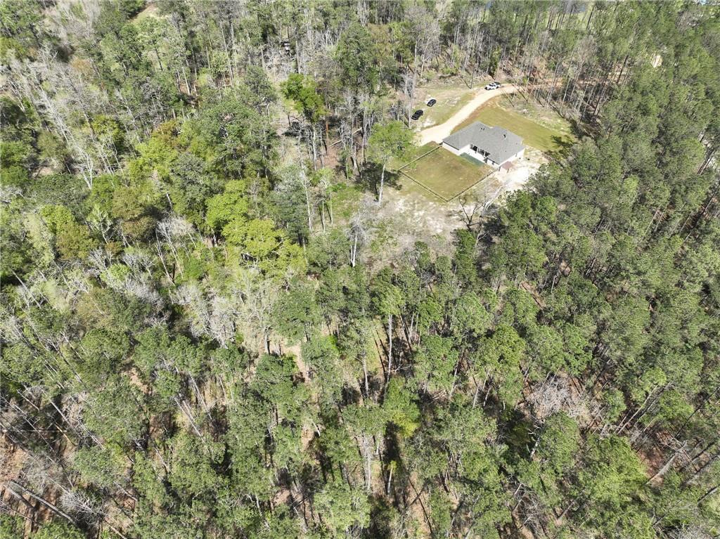 30855 Forbes Road Albany, LA 70711 - Photo 33 of 35 Gallery Image 33
