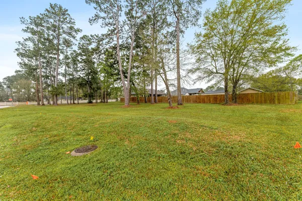 a view of a big yard with trees