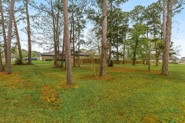 a view of a trees with a yard