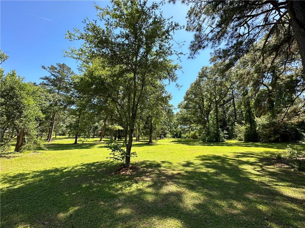 0 Liberty Hill Road Boyce, LA 71409 - Photo 11 of 20 Gallery Image 11