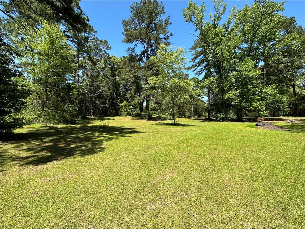 0 Liberty Hill Road Boyce, LA 71409 - Photo 14 of 20 Gallery Image 14