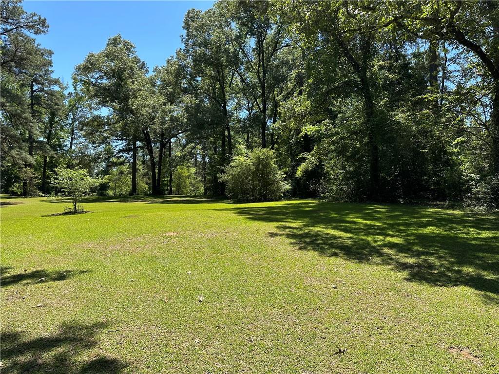 0 Liberty Hill Road Boyce, LA 71409 - Photo 16 of 20 Gallery Image 16