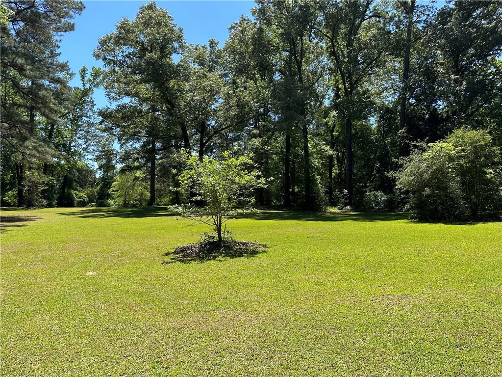 0 Liberty Hill Road Boyce, LA 71409 - Photo 18 of 20 Gallery Image 18