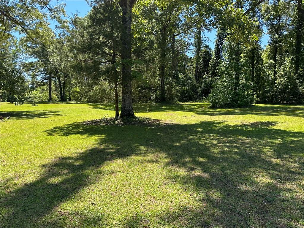 0 Liberty Hill Road Boyce, LA 71409 - Photo 19 of 20 Gallery Image 19