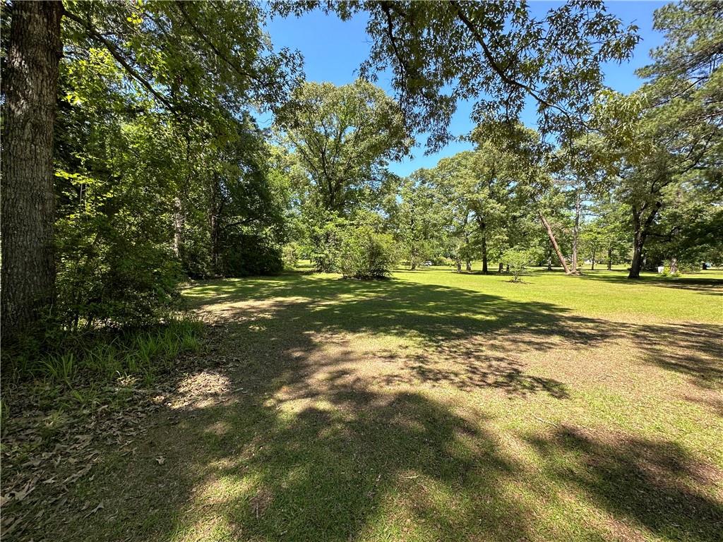 0 Liberty Hill Road Boyce, LA 71409 - Photo 3 of 20 Gallery Image 3