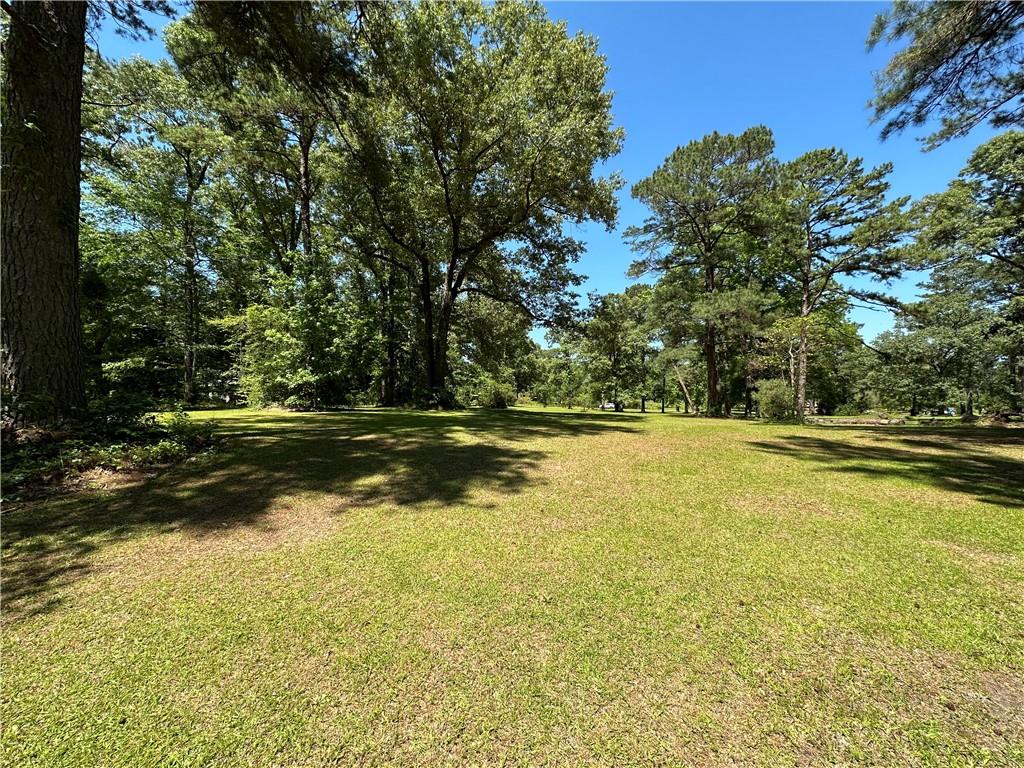 0 Liberty Hill Road Boyce, LA 71409 - Photo 4 of 20 Gallery Image 4