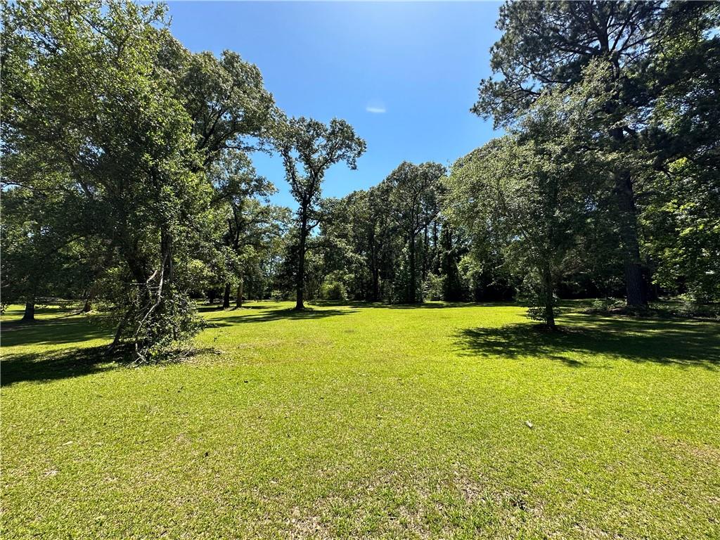 0 Liberty Hill Road Boyce, LA 71409 - Photo 5 of 20 Gallery Image 5