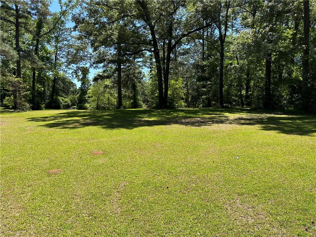 0 Liberty Hill Road Boyce, LA 71409 - Photo 8 of 20 Gallery Image 8