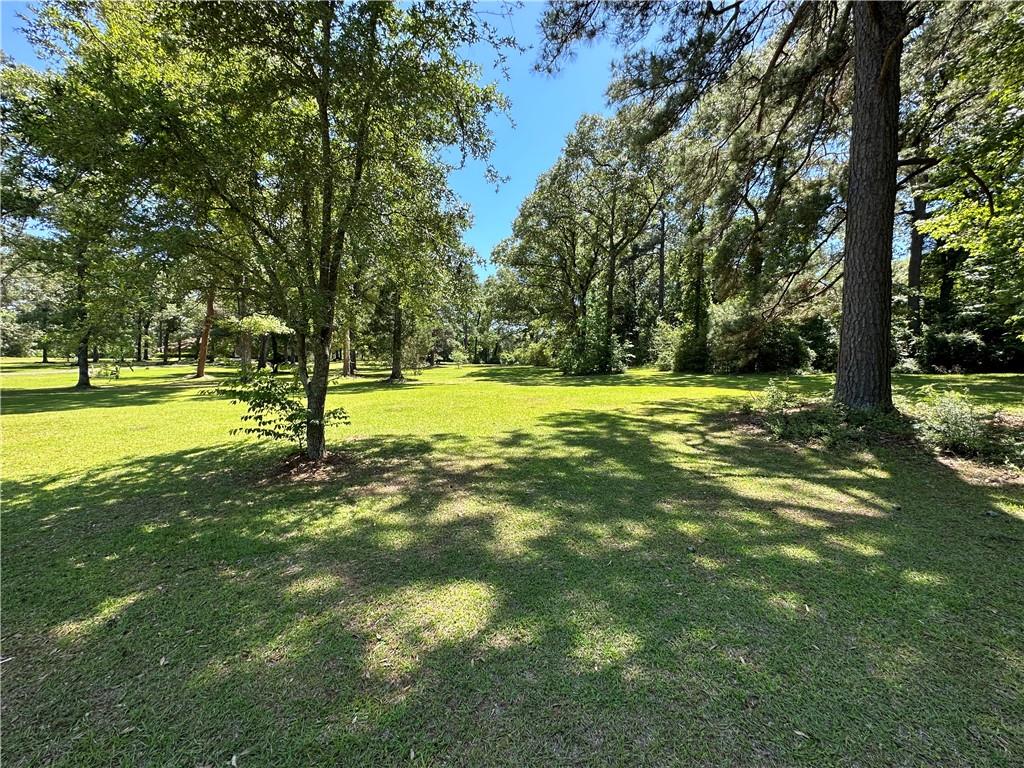 0 Liberty Hill Road Boyce, LA 71409 - Photo 10 of 20 Gallery Image 10