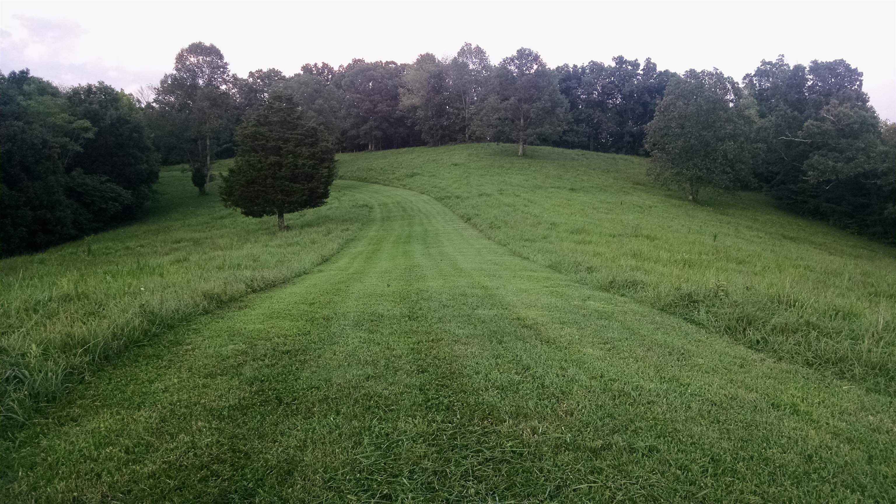 327 Mudlick Branch Road Louisa, KY 41230 - Photo 5 of 23
